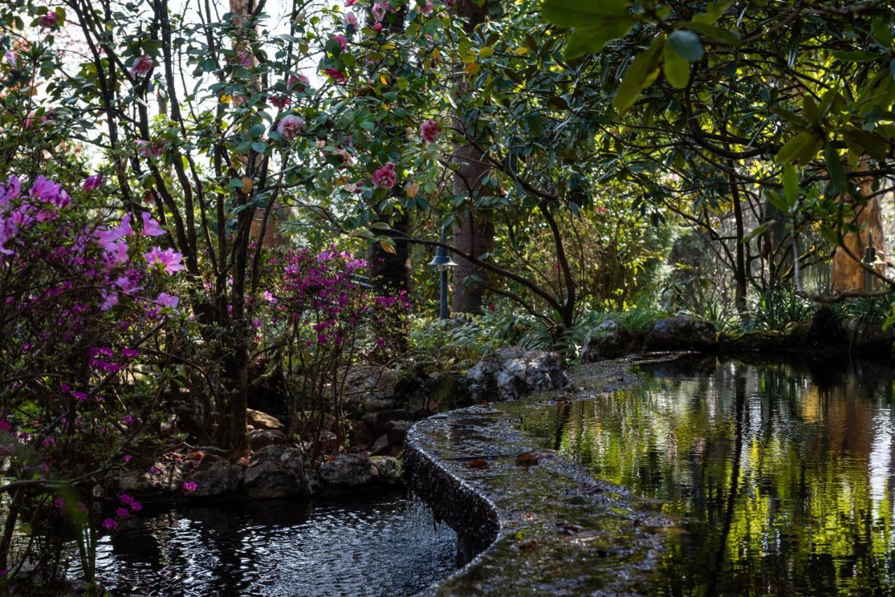 Quinta De Mouraes Casa Dos Rododendros Guest House Lever Екстериор снимка