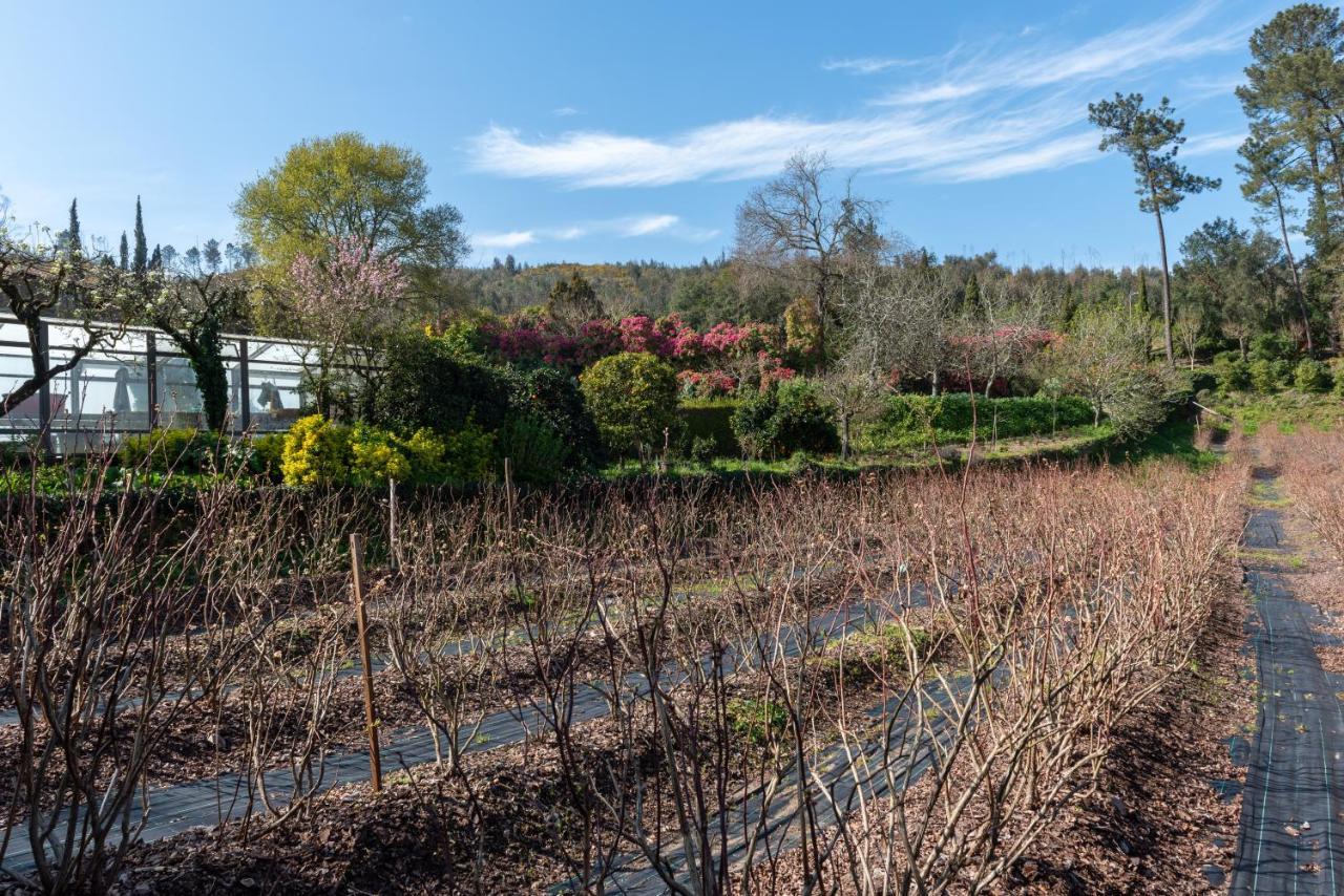 Quinta De Mouraes Casa Dos Rododendros Guest House Lever Екстериор снимка