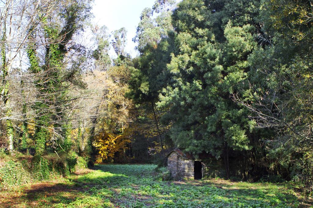 Quinta De Mouraes Casa Dos Rododendros Guest House Lever Екстериор снимка