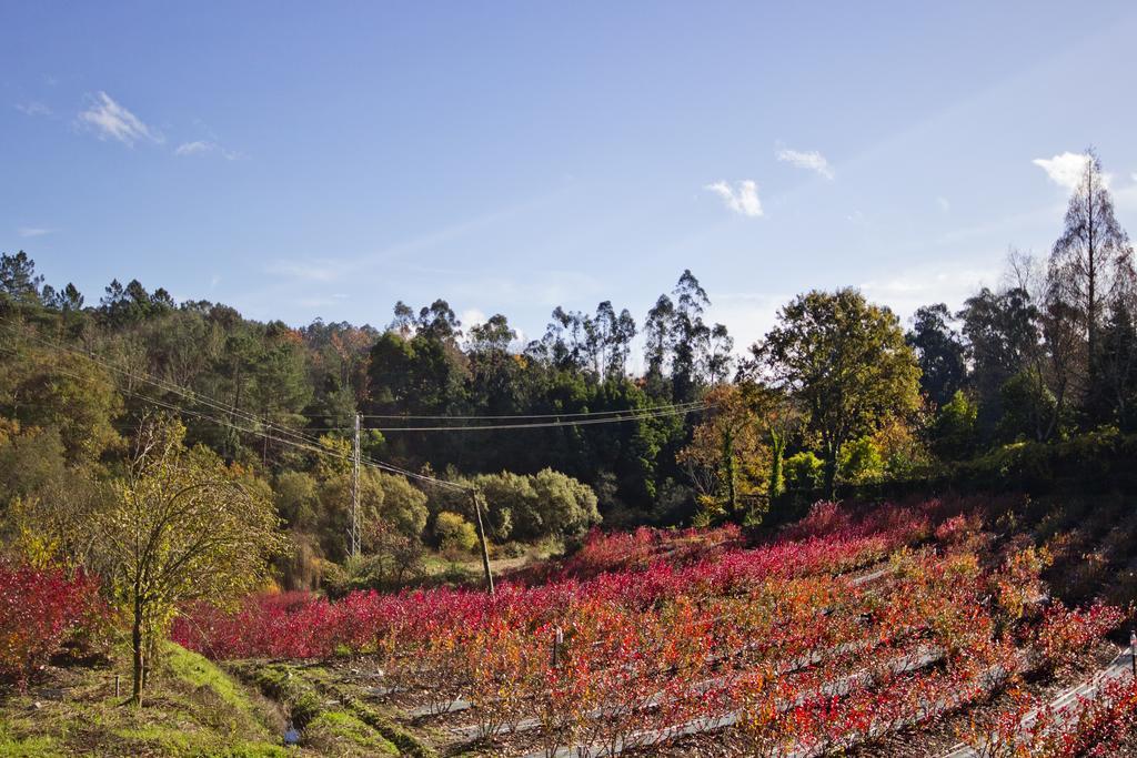 Quinta De Mouraes Casa Dos Rododendros Guest House Lever Екстериор снимка