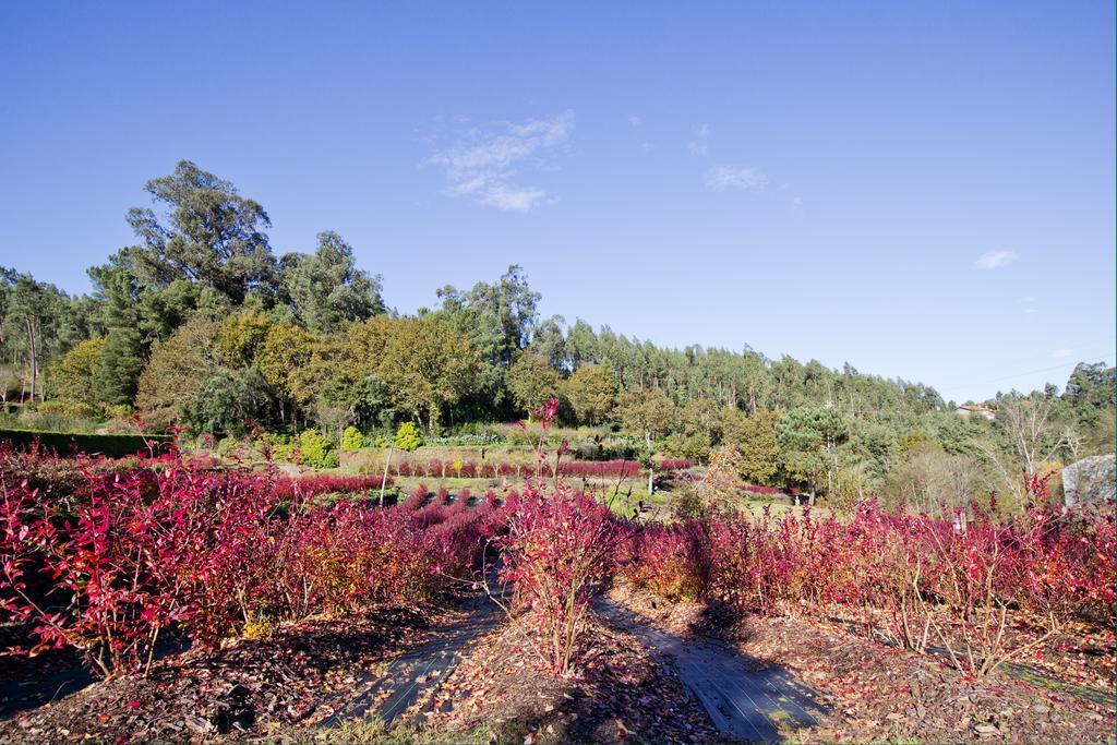Quinta De Mouraes Casa Dos Rododendros Guest House Lever Екстериор снимка