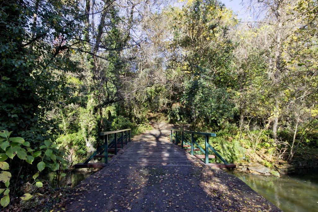 Quinta De Mouraes Casa Dos Rododendros Guest House Lever Екстериор снимка
